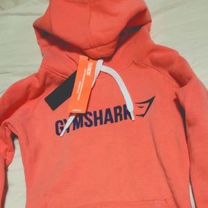 Gymshark signal hooded pullover